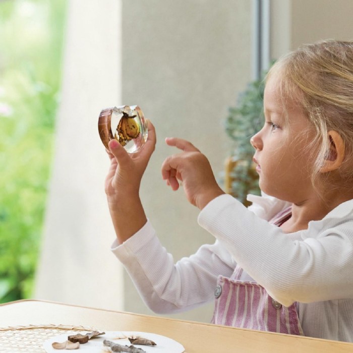 Alternate Image #1 of Specimen Life Cycle Puzzle - Butterfly