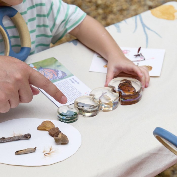 Alternate Image #1 of Specimen Life Cycle Puzzle - Butterfly