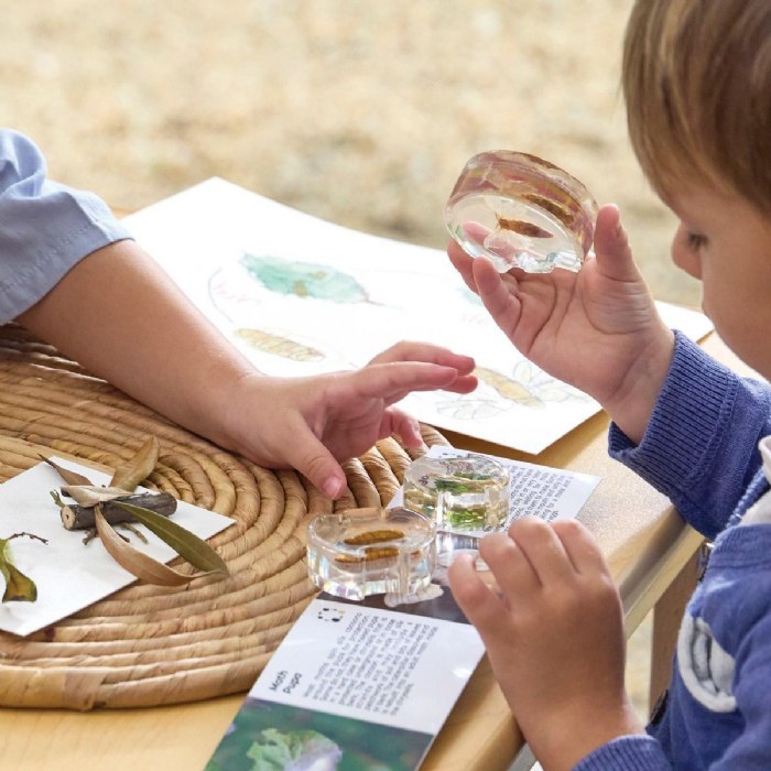 Alternate Image #1 of Specimen Life Cycle Puzzles - Moth