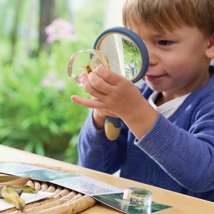 Alternate Image #1 of Specimen Life Cycle Puzzles - Moth