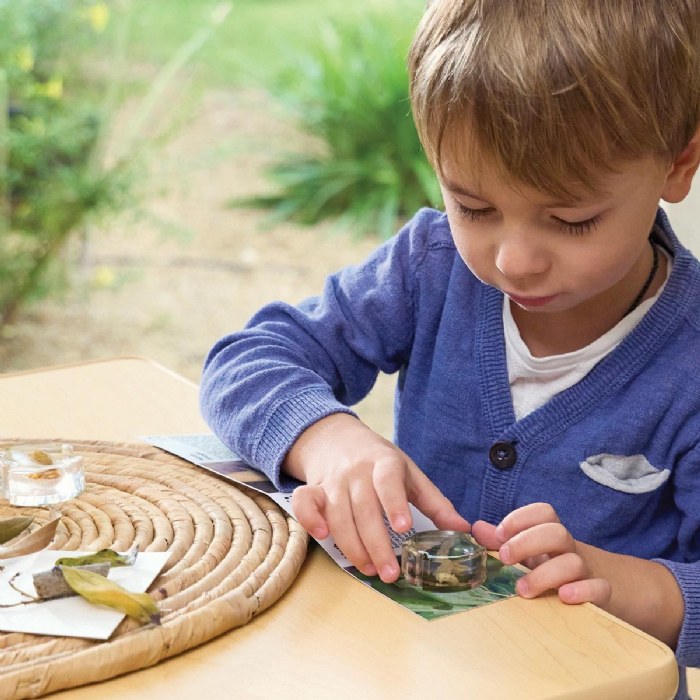 Alternate Image #1 of Specimen Life Cycle Puzzles - Moth