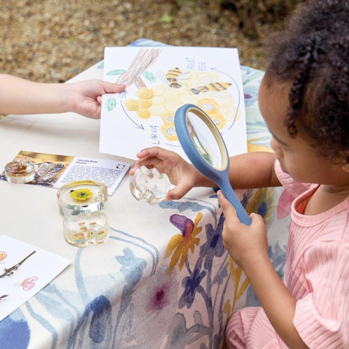 Alternate Image #1 of Specimen Life Cycle Puzzles - Honey Bee