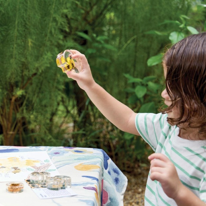 Alternate Image #1 of Specimen Life Cycle Puzzles - Honey Bee