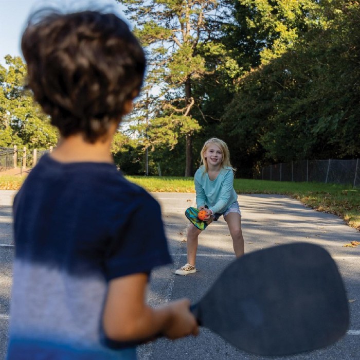 Alternate Image #1 of Youth Pickleball Paddles - Set for 4 Players