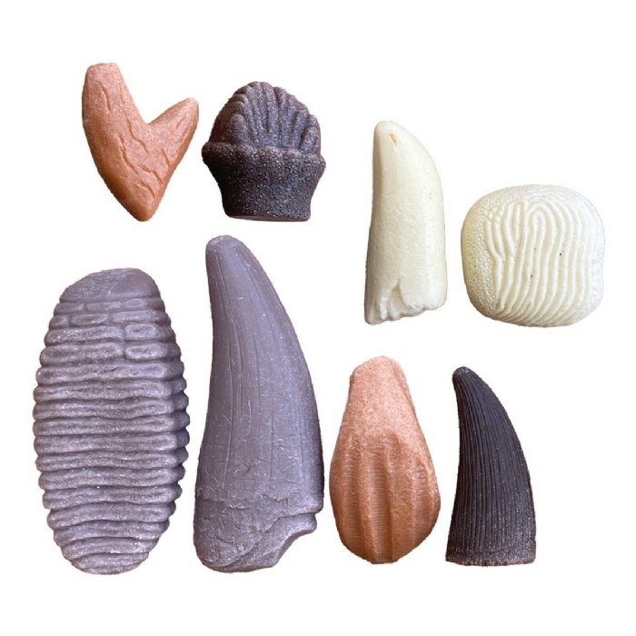 Primary Image of Sensory Play Stones: Prehistoric Teeth - 8 Pieces