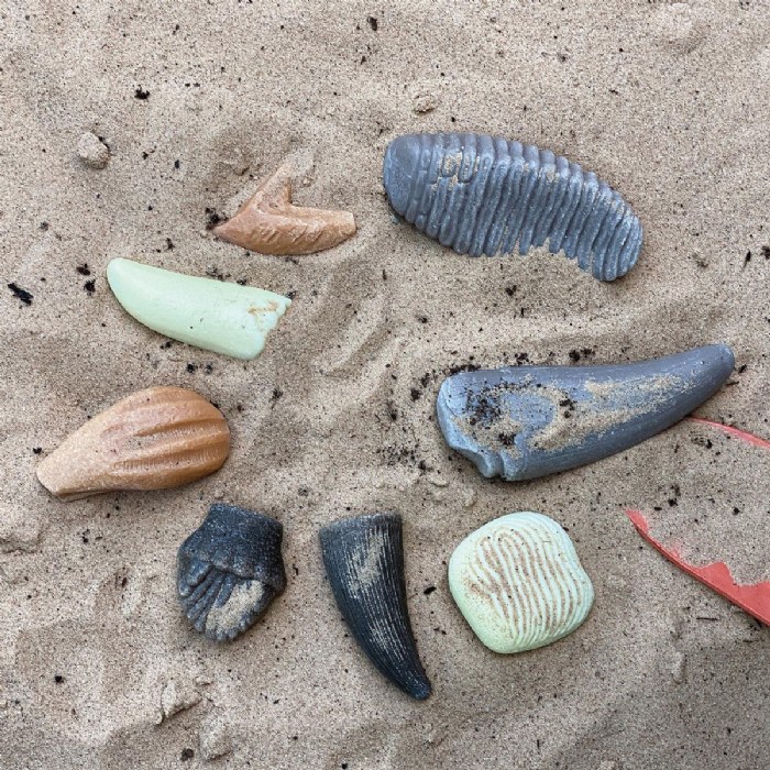 Alternate Image #1 of Sensory Play Stones: Prehistoric Teeth - 8 Pieces