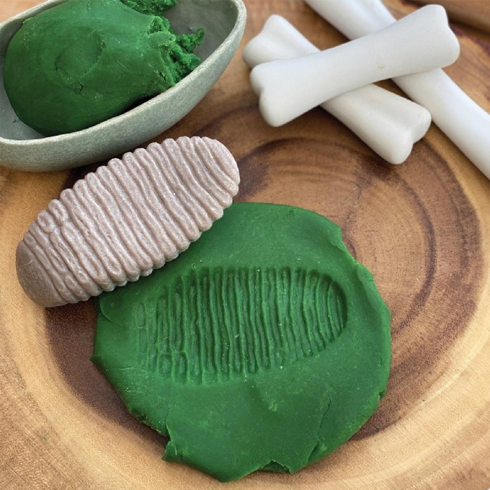 Alternate Image #1 of Sensory Play Stones: Prehistoric Teeth - 8 Pieces