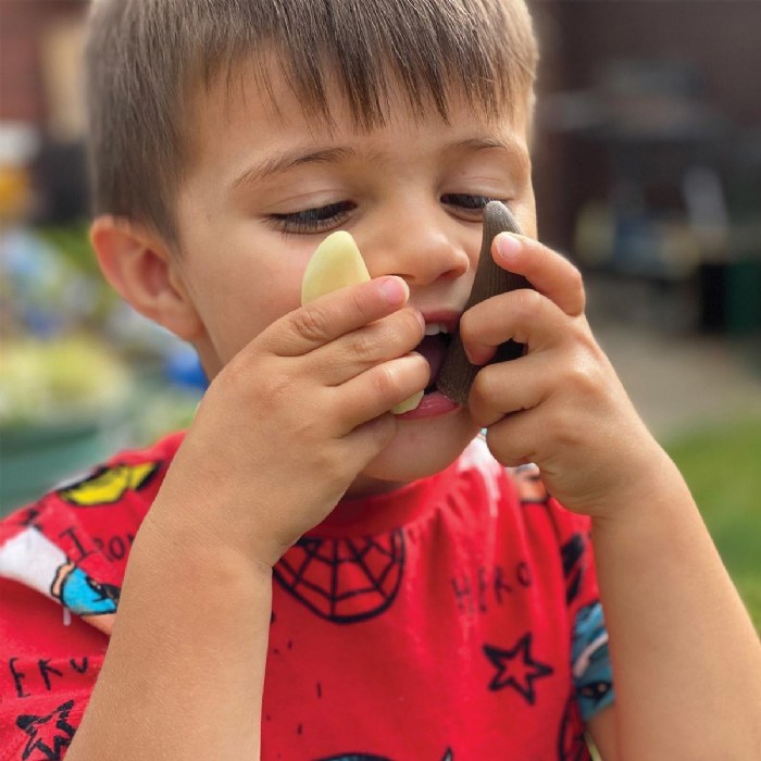 Alternate Image #1 of Sensory Play Stones: Prehistoric Teeth - 8 Pieces
