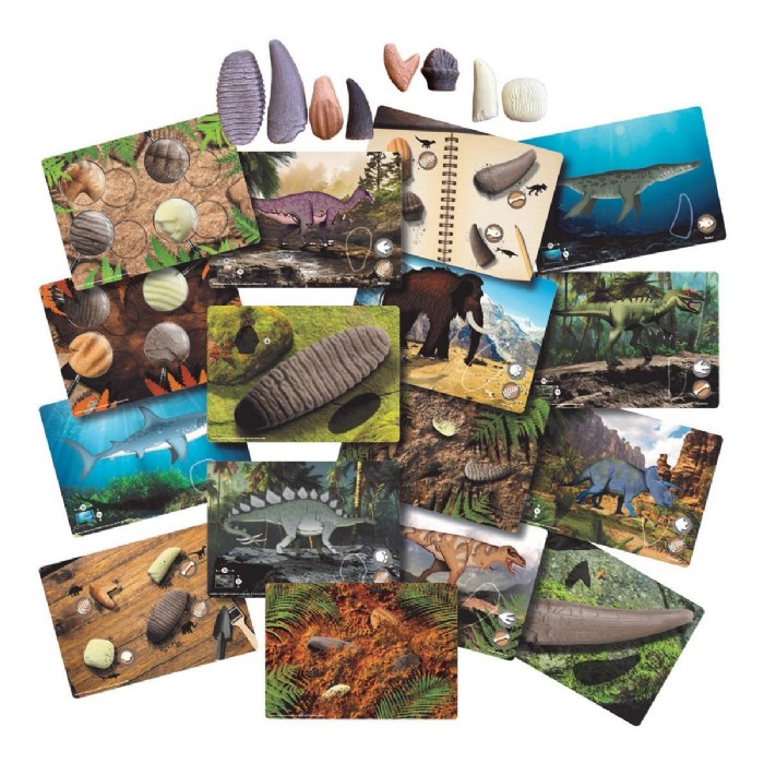 Alternate Image #1 of Sensory Prehistoric Teeth Stones and Activity Cards Set