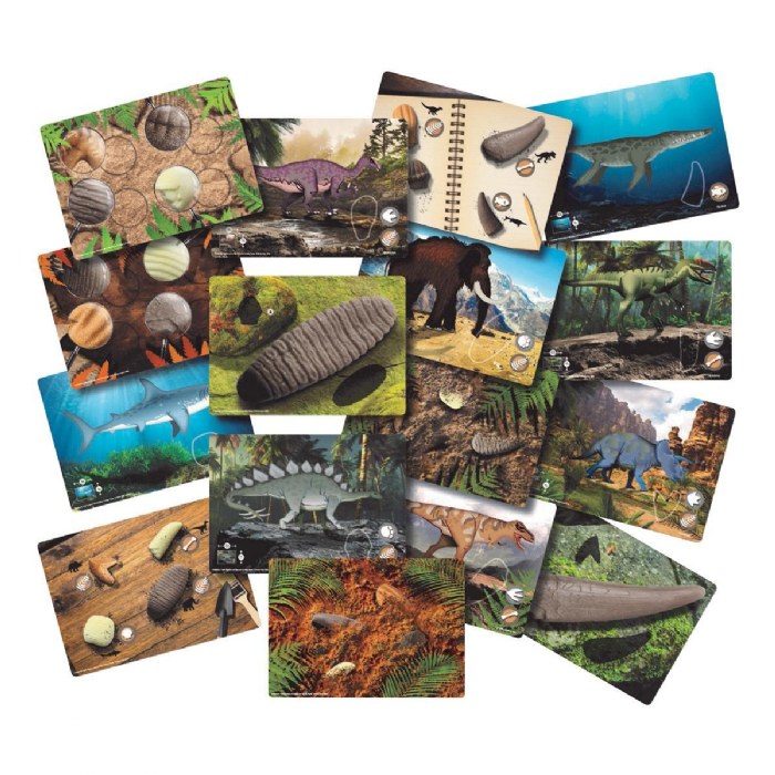 Alternate Image #1 of Sensory Prehistoric Teeth Stones and Activity Cards Set