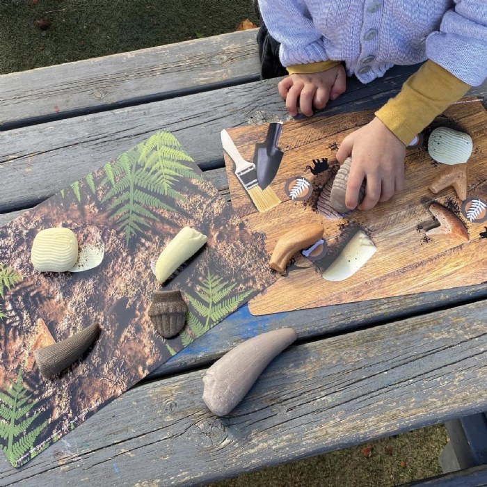 Alternate Image #1 of Sensory Prehistoric Teeth Stones and Activity Cards Set