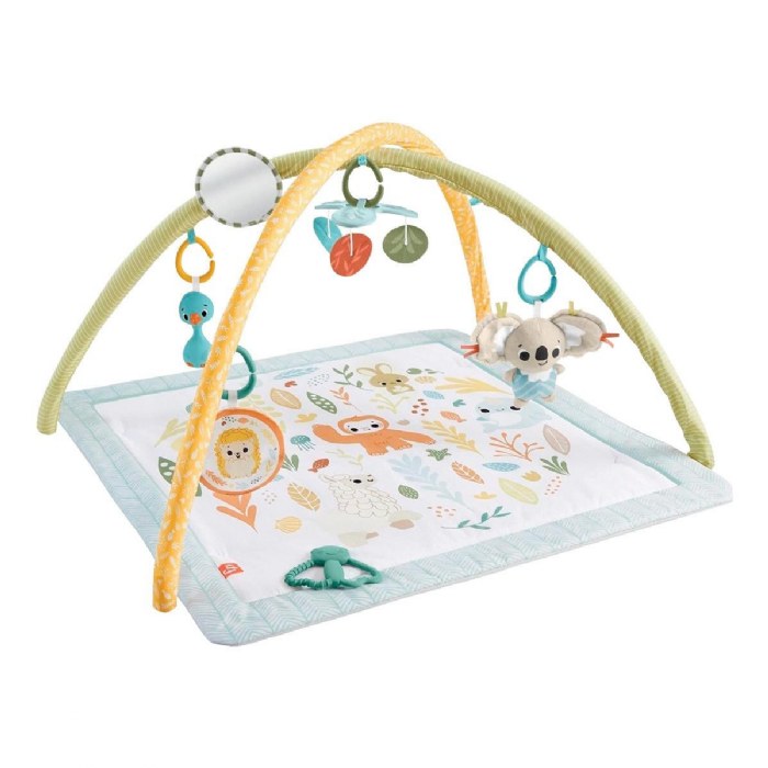 Primary Image of Fisher-Price&reg; Simply Senses Activity Gym