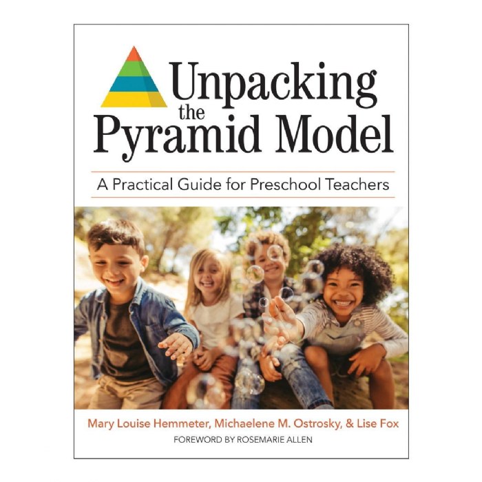 Primary Image of Unpacking the Pyramid Model