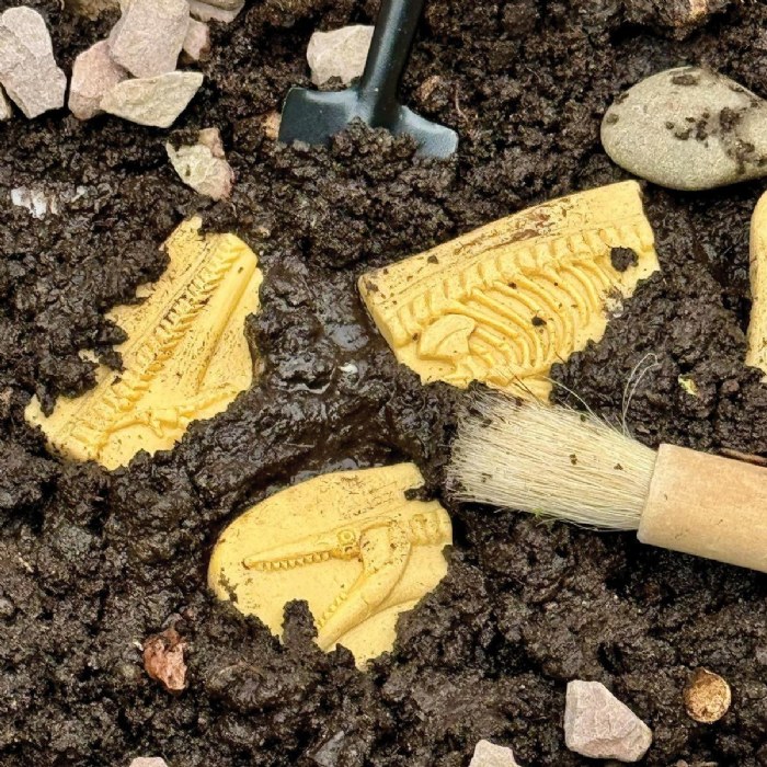 Alternate Image #1 of Dig & Discover Dinosaur Tactile Skeletons - Set of 6