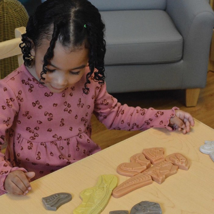 Alternate Image #1 of Dig & Discover Dinosaur Tactile Skeletons - Set of 6