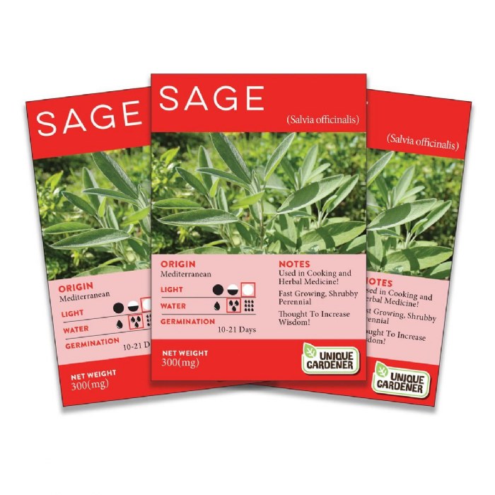 Primary Image of Sage Seeds 3-Pack