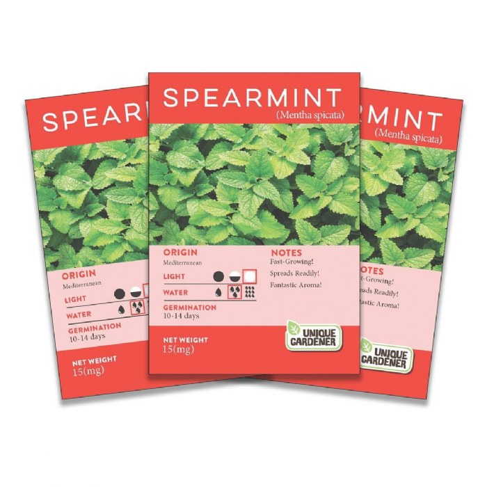 Primary Image of Spearmint Seeds 3-Pack