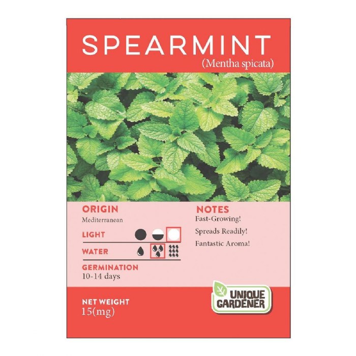 Alternate Image #1 of Sage Seeds 3-Pack