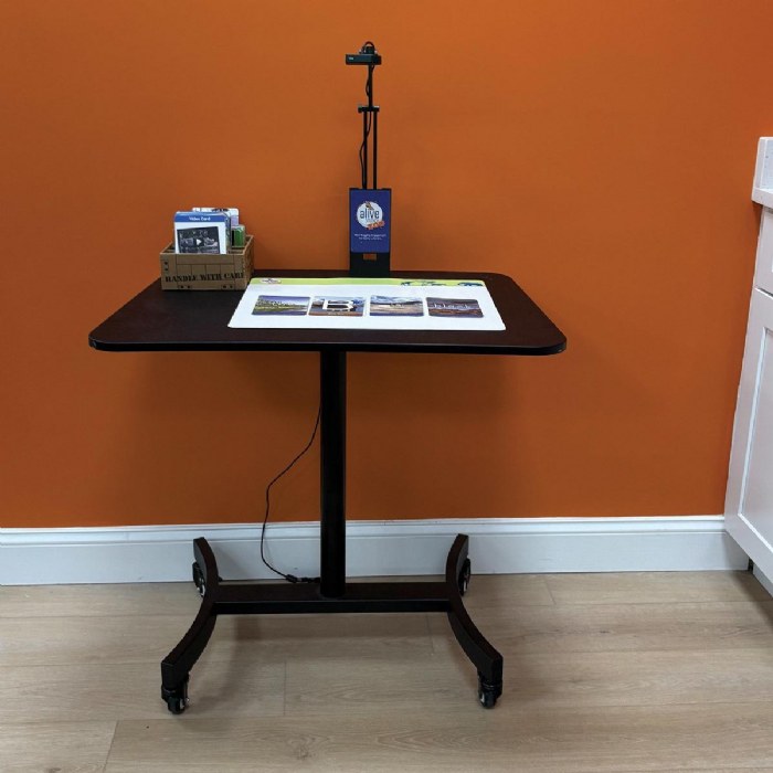 Alternate Image #1 of Interactive Zoo Panel with Early Literacy and Math Kit and Table