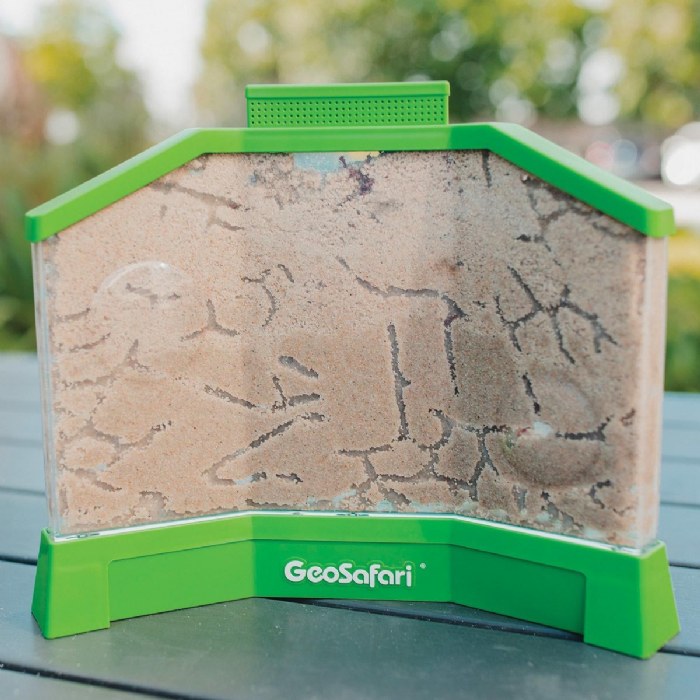 Alternate Image #1 of GeoSafari&reg; Ant Factory &trade; Habitat with Sand