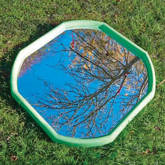 Alternate Image #1 of Mini Tuff Spot Tray - Mirror Insert