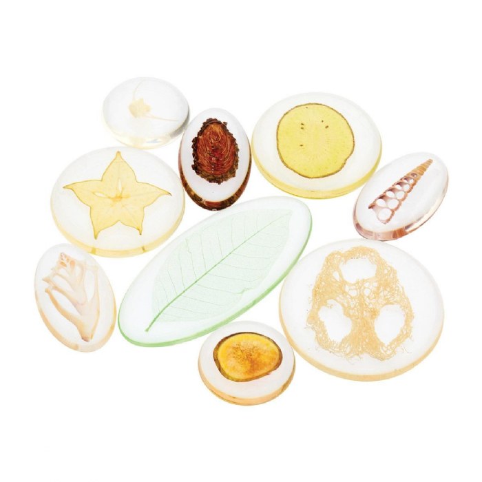 Alternate Image #1 of Acrylic Nature's Cross Sections