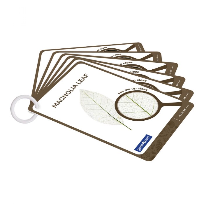 Alternate Image #1 of Acrylic Nature's Cross Sections