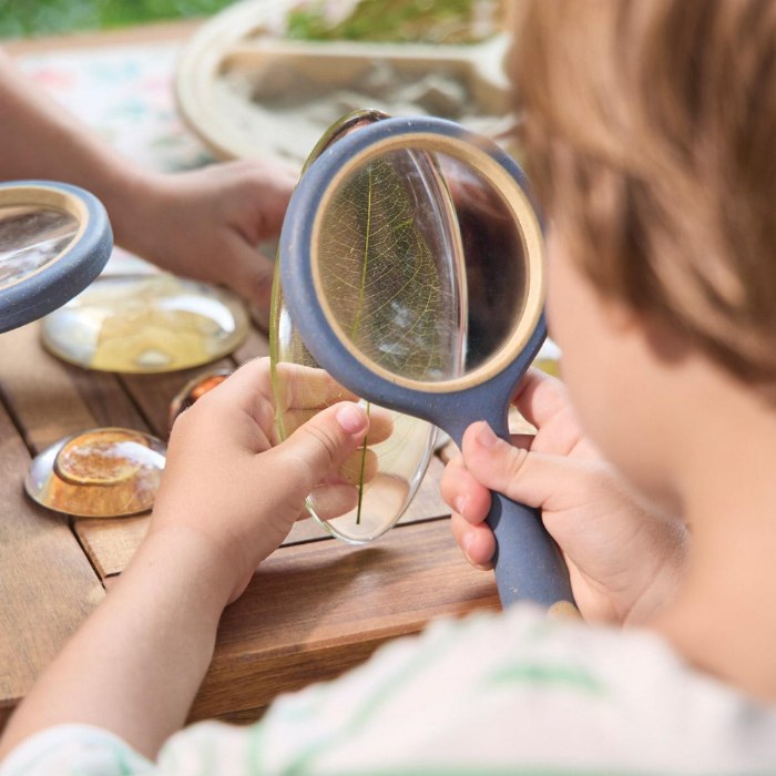 Alternate Image #1 of Acrylic Nature's Cross Sections