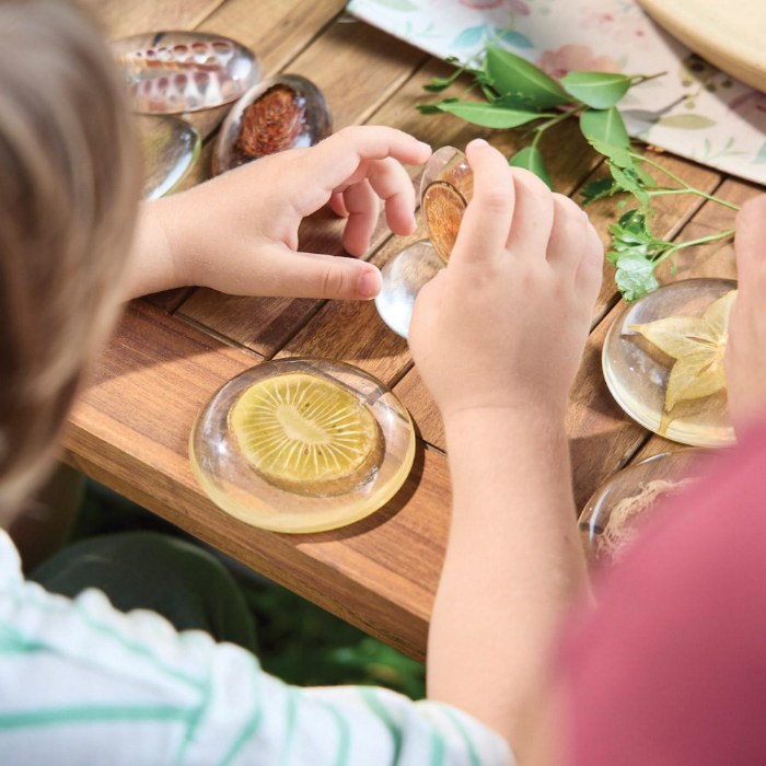 Alternate Image #1 of Acrylic Nature's Cross Sections