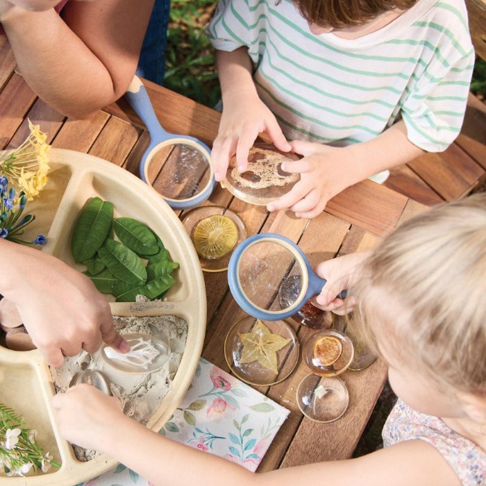 Alternate Image #1 of Acrylic Nature's Cross Sections