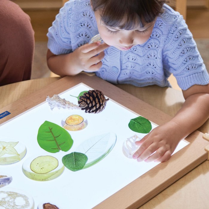 Alternate Image #1 of Acrylic Nature's Cross Sections