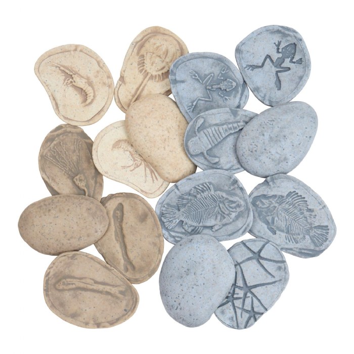 Alternate Image #1 of Magnetic Matching Aquatic Life Fossil Stones - Set of 8