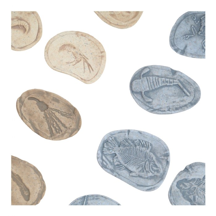 Alternate Image #1 of Magnetic Matching Aquatic Life Fossil Stones - Set of 8