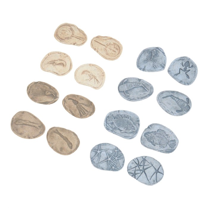 Alternate Image #1 of Magnetic Matching Aquatic Life Fossil Stones - Set of 8