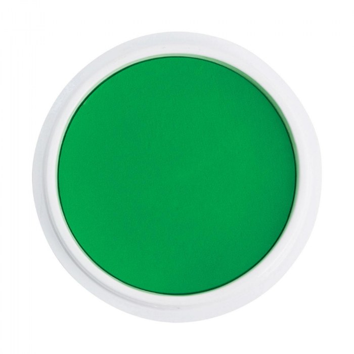 Alternate Image #1 of Washable Jumbo Stamp Pad - Green