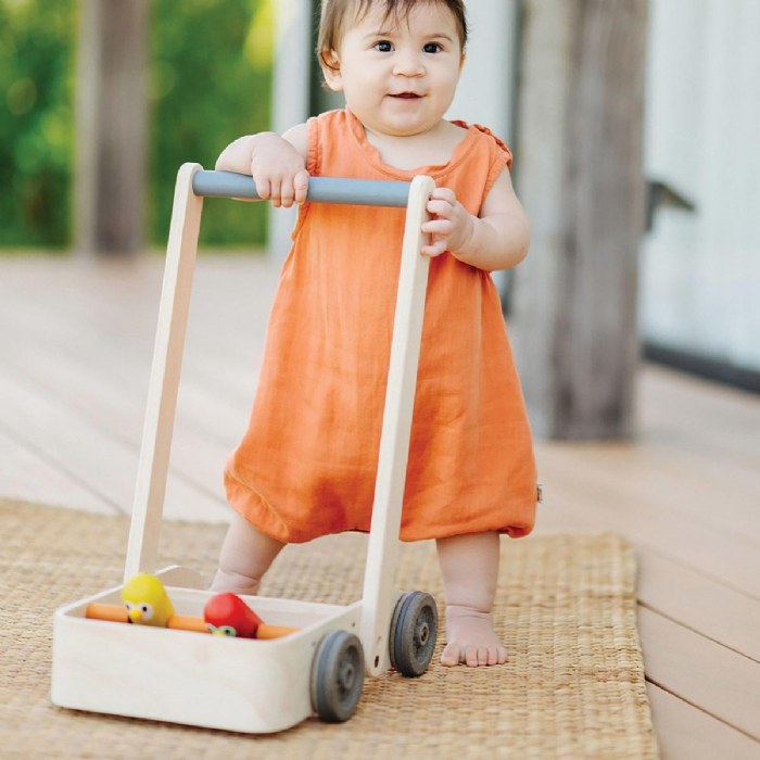 Alternate Image #1 of Musical Bird Walker