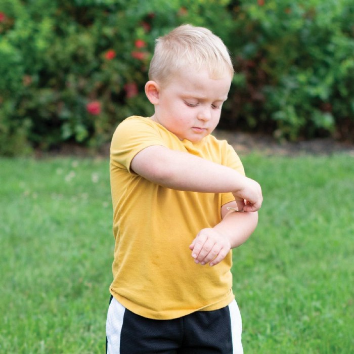 Alternate Image #1 of Fun Shaped Bandages - Set of 500