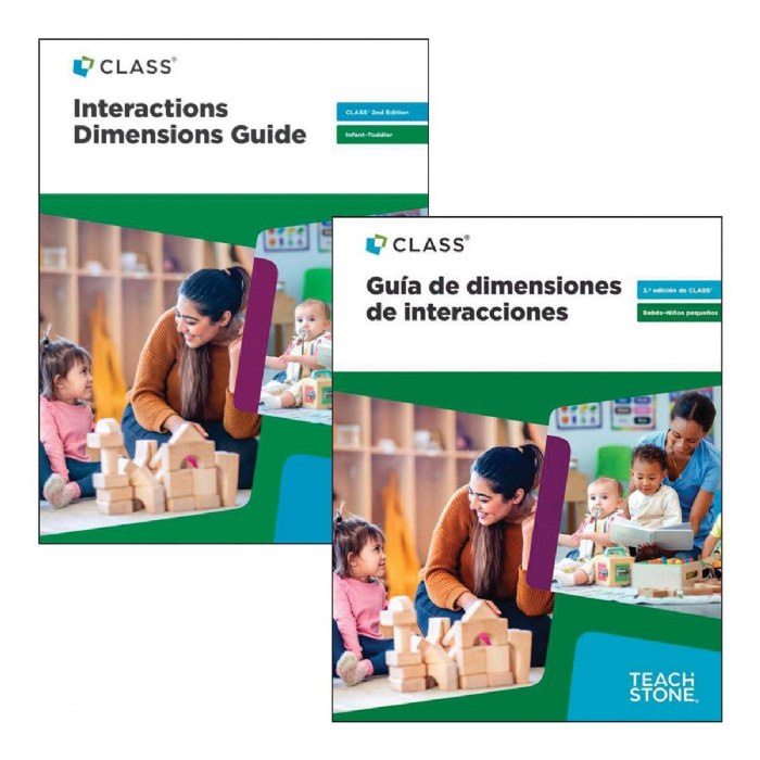 Primary Image of CLASS&reg; 2nd Edition Infant-Toddler Interactions Dimensions Guide