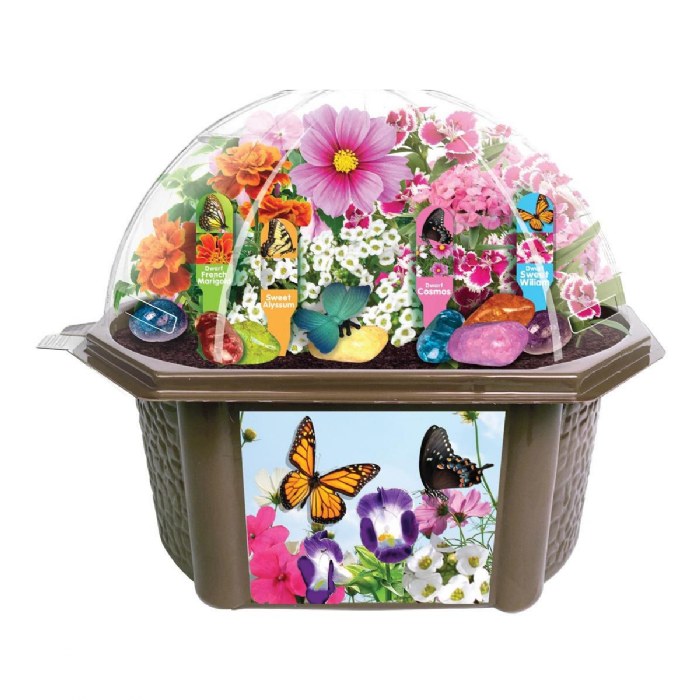 Primary Image of Butterfly Garden Biosphere