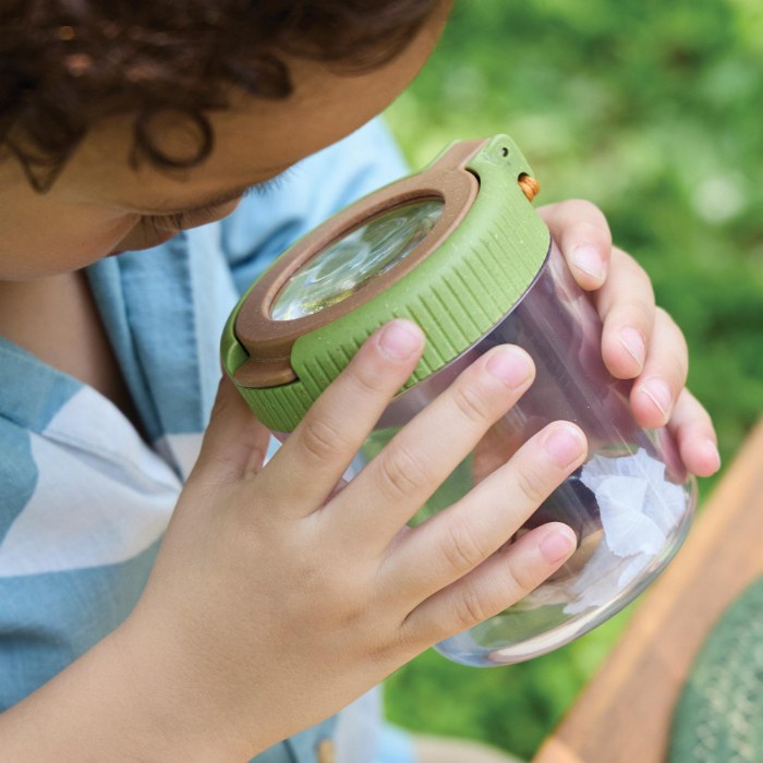 Alternate Image #1 of Specimen Jars - Set of 6