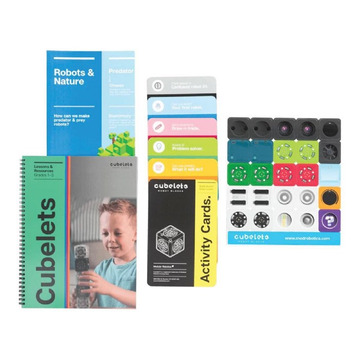 Primary Image of Grades1 to 3 Lesson Plan Bundle for Cubelets