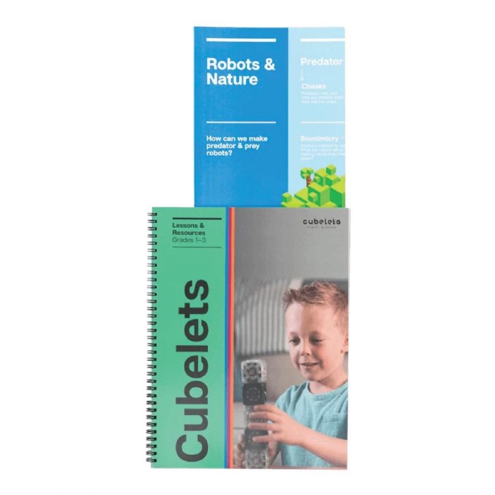 Alternate Image #1 of Grades1 to 3 Lesson Plan Bundle for Cubelets