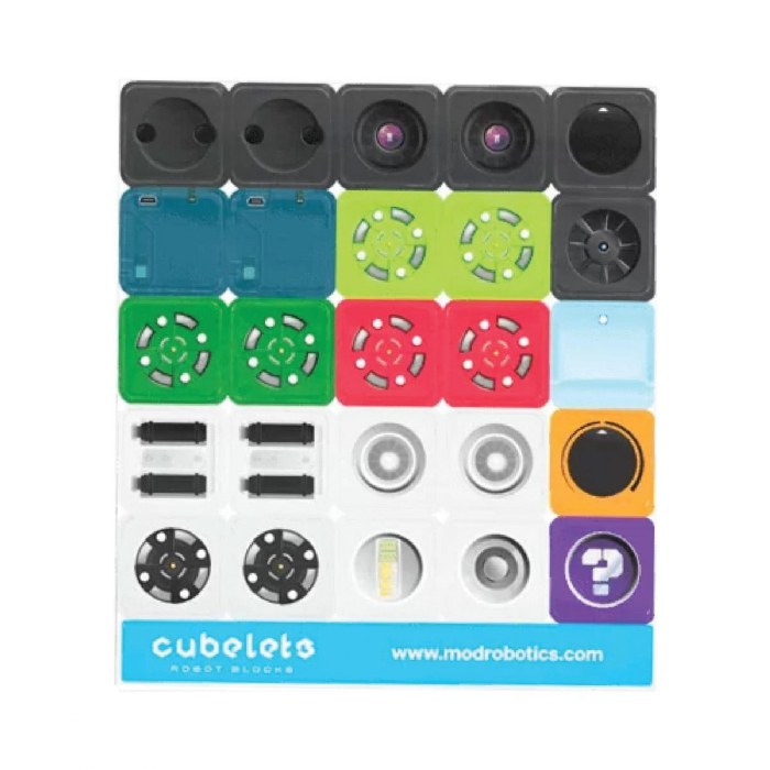 Alternate Image #1 of Grades1 to 3 Lesson Plan Bundle for Cubelets