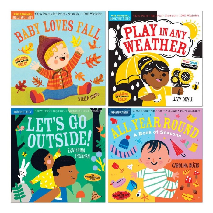 Primary Image of Indestructibles&reg; Seasons Around Me Books - Set of 4