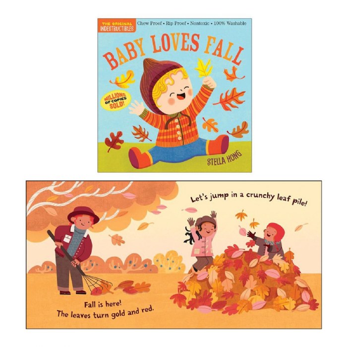 Alternate Image #1 of Indestructibles&reg; Seasons Around Me Books - Set of 4