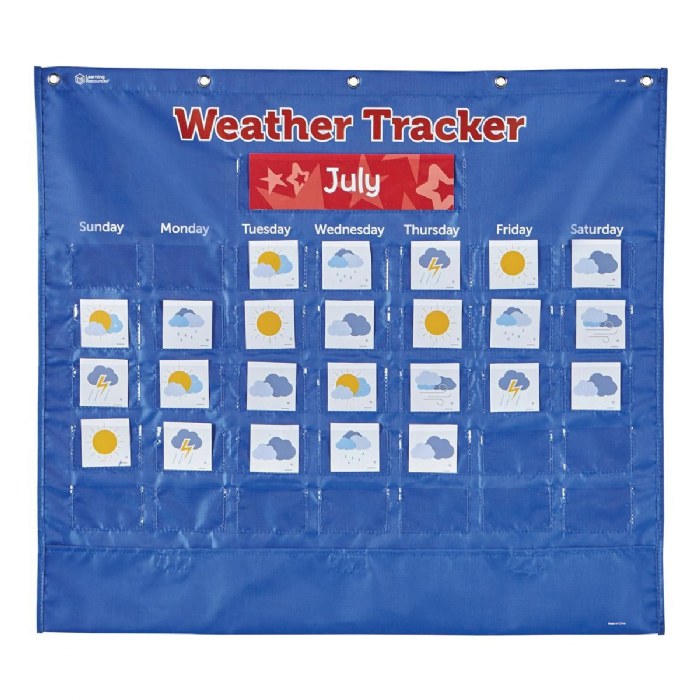 Primary Image of Weather Tracking Pocket Chart