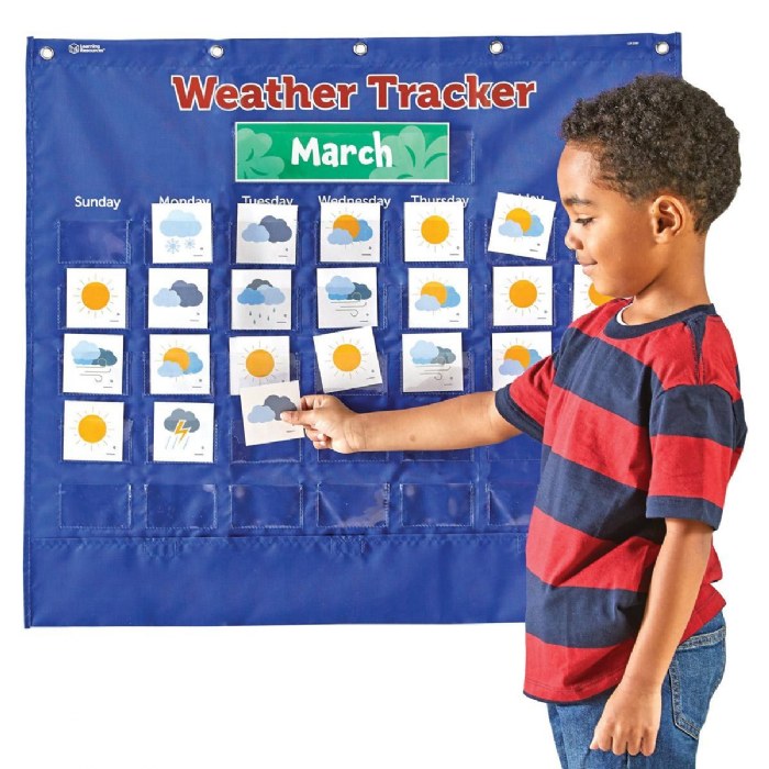 Alternate Image #1 of Weather Tracking Pocket Chart