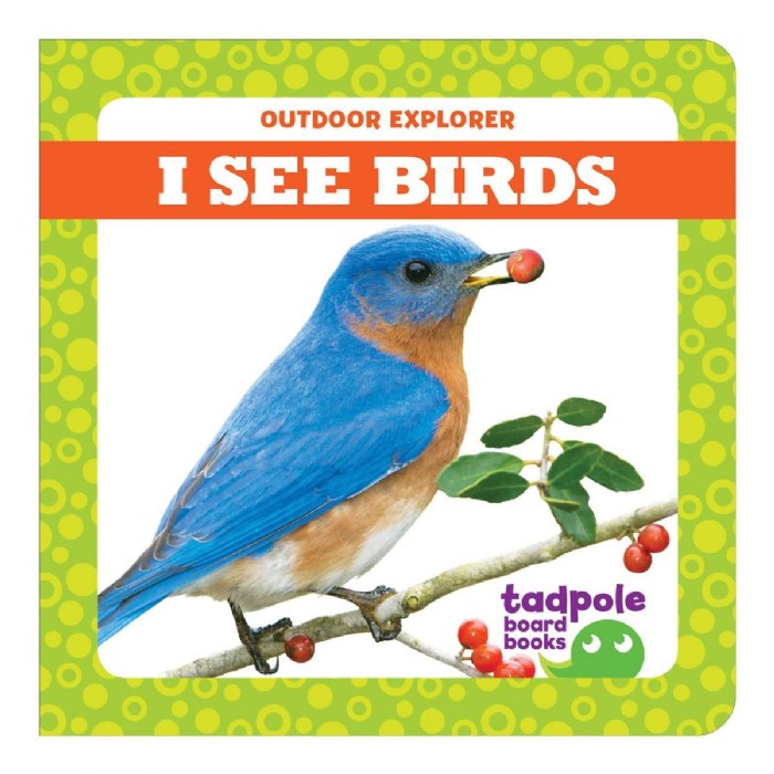 Alternate Image #1 of I See Board Books - Set of 3