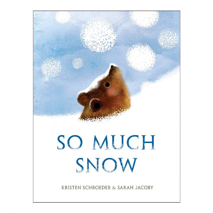 Primary Image of So Much Snow - Hardback