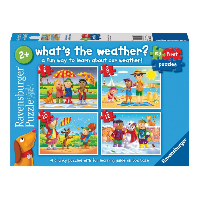 Alternate Image #1 of What's the Weather Puzzles